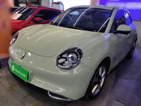 欧拉好猫 2023款 401km标准续航 尊荣型 磷酸铁锂