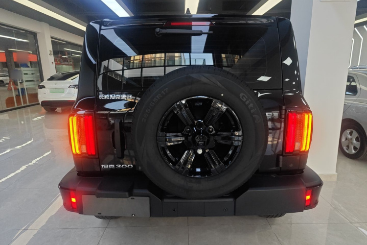 坦克300 2025款 2.0T 征服者车身外观6004