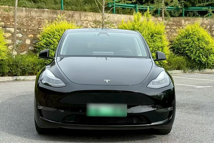 特斯拉 Model Y 2021款 标准续航后驱版车身外观6004