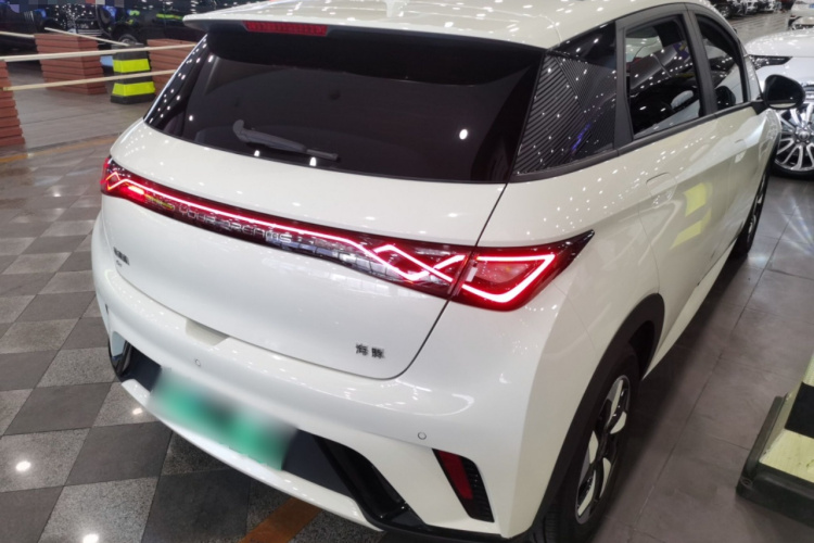 比亚迪 海豚 2024款 荣耀版 420km 时尚版车身外观7