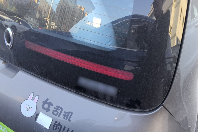 欧拉白猫 2020款 305km 豪华型车身外观9