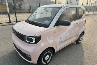 五菱汽车 宏光MINIEV 2021款 马卡龙臻享款 磷酸铁锂