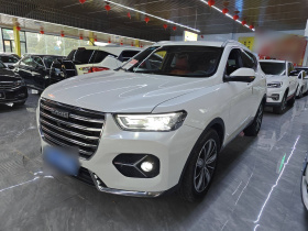 哈弗H6 2021款 1.5T 自动冠军版