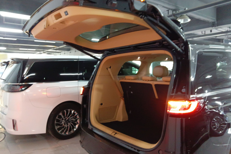 岚图汽车 岚图梦想家 2022款 低碳版 家机舱底盘23