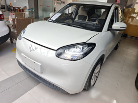 五菱汽车 五菱缤果 2023款 203km 轻享款