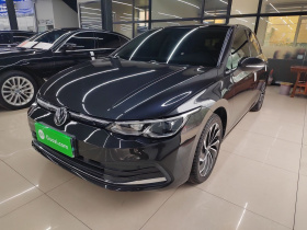 大众 高尔夫 2021款 280TSI DSG Pro