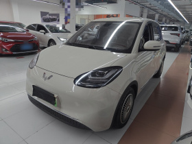 五菱汽车 五菱缤果 2023款 333km 灵犀互联+款