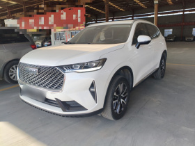 哈弗H6 2021款 第三代 1.5T 自动两驱Max