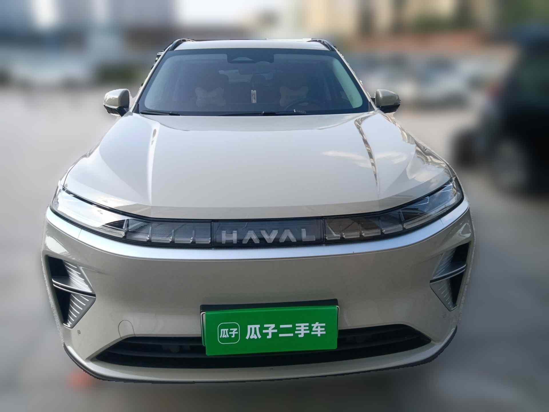 哈弗枭龙MAX 2025款 Hi4 110 Pro(2)