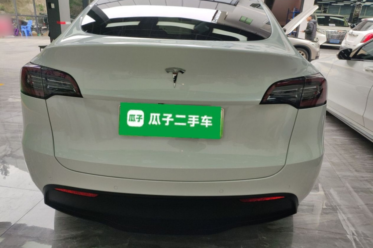 特斯拉 Model Y 2021款 标准续航后驱版车身外观6004