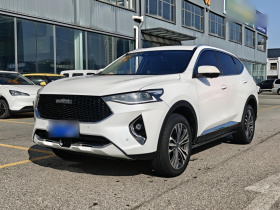 哈弗F7 2019款 2.0T 两驱i范 国VI