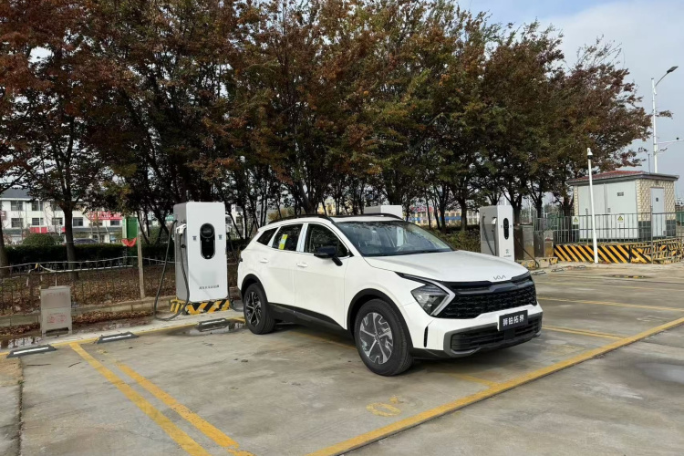 起亚 狮铂拓界 2025款 1.5T 两驱尊贵版车身外观6001