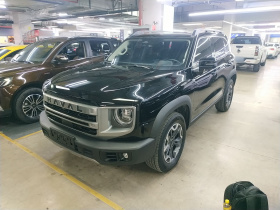 哈弗大狗 2024款 2.0T DCT中华田园犬版