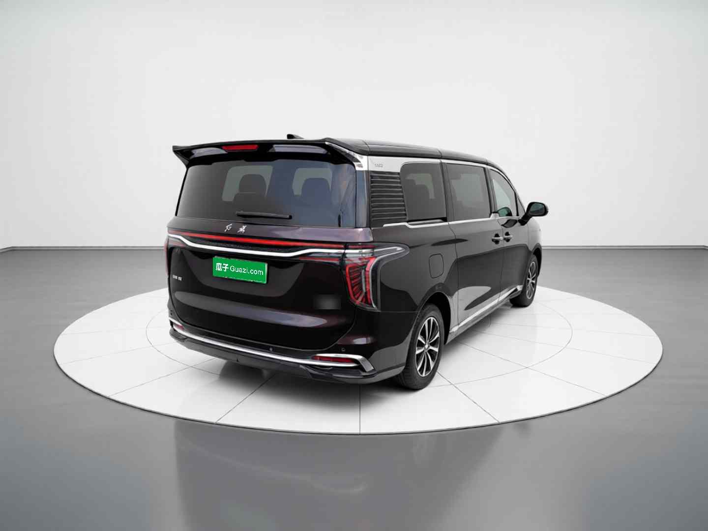 红旗HQ9 PHEV 2024款 2.0T 四驱商务版(5)