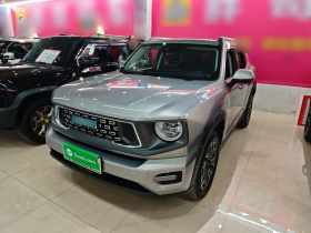 哈弗大狗 PLUS 新能源 2023款 DHT-PHEV 105km 潮电版