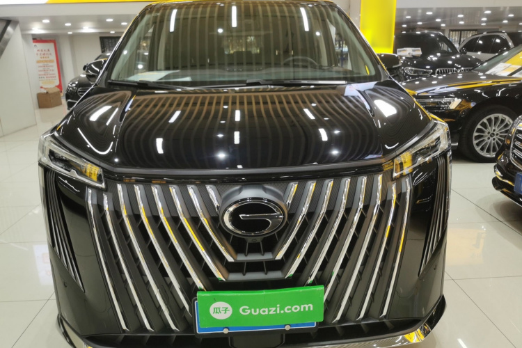 广汽传祺 传祺M8 2024款 大师系列 400T 尊贵版车身外观6001