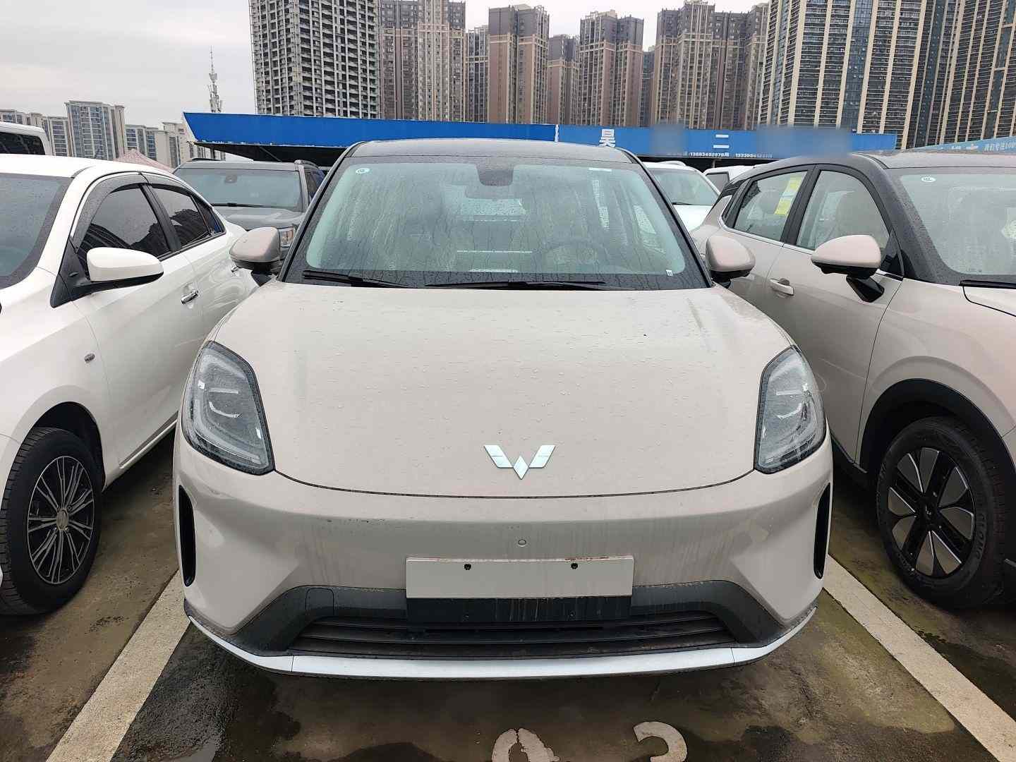 五菱汽车 缤果S 2025款 325km 尊享款(1)