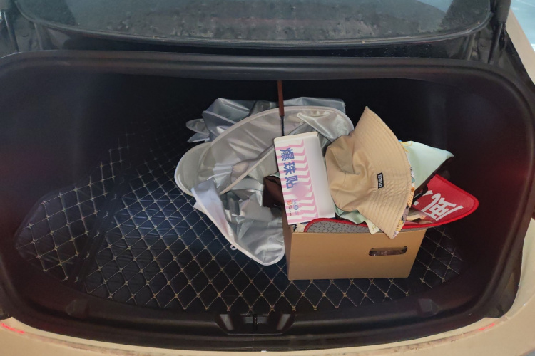 特斯拉 Model 3 2020款 标准续航后驱升级版局部细节23