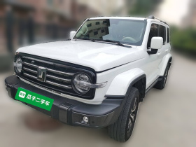 坦克300 2023款 城市版 2.0T 很有型