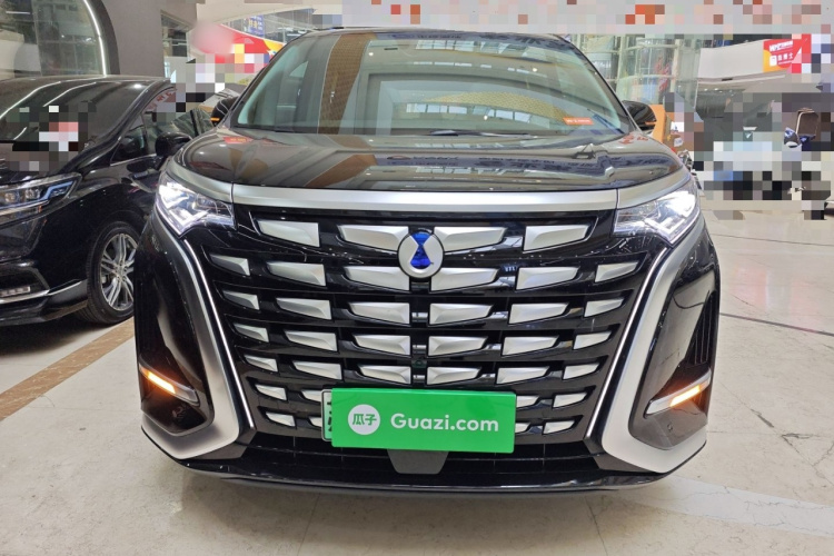 腾势D9 2024款 DM-i 980 四驱尊荣型车身外观6001