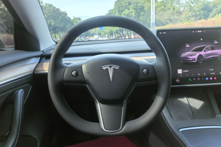 特斯拉 Model 3 2022款 后轮驱动版中控内饰7006