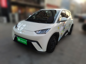 比亚迪 海鸥 2025款 305km 活力版