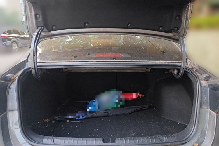 吉利汽车 帝豪 2023款 第4代冠军版 1.5L CVT尊贵型局部细节23