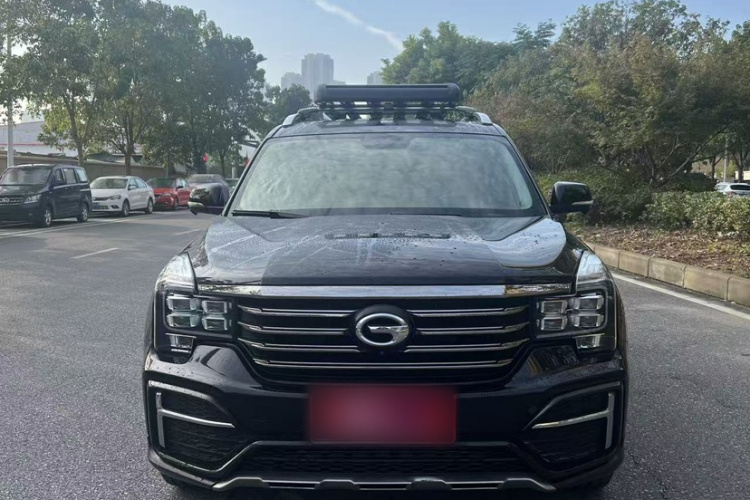 广汽传祺 传祺GS8 2020款 390T 两驱豪华智联版（七座）车身外观6005