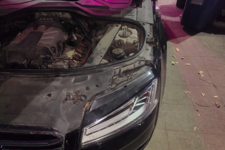 奥迪A8 2013款 A8L 45 TFSI quattro舒适型局部细节9007