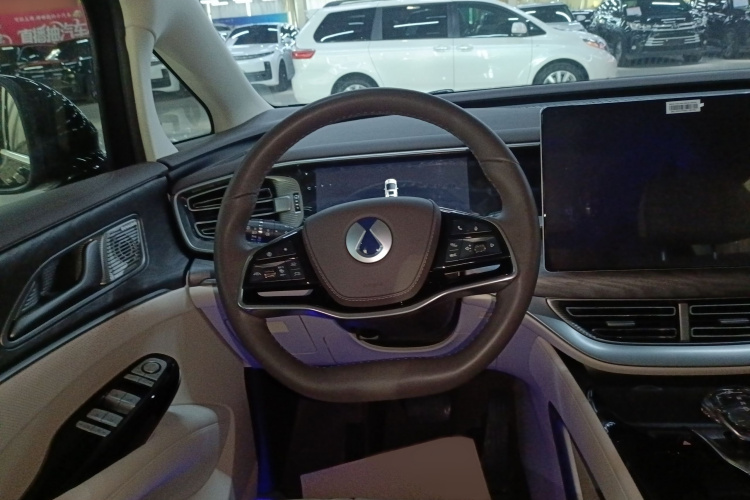 腾势D9 2024款 DM-i 970 豪华型局部细节13