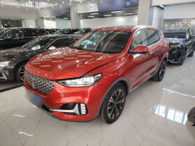 魏牌 VV6 2021款 2.0T 两驱智护+