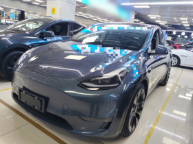 特斯拉 Model Y 2022款 Performance高性能全轮驱动版