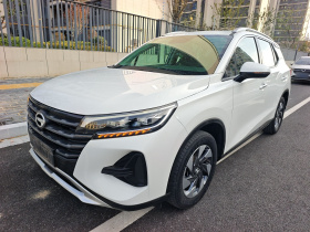 广汽传祺 传祺GS4 2020款 270T 自动精英科技版