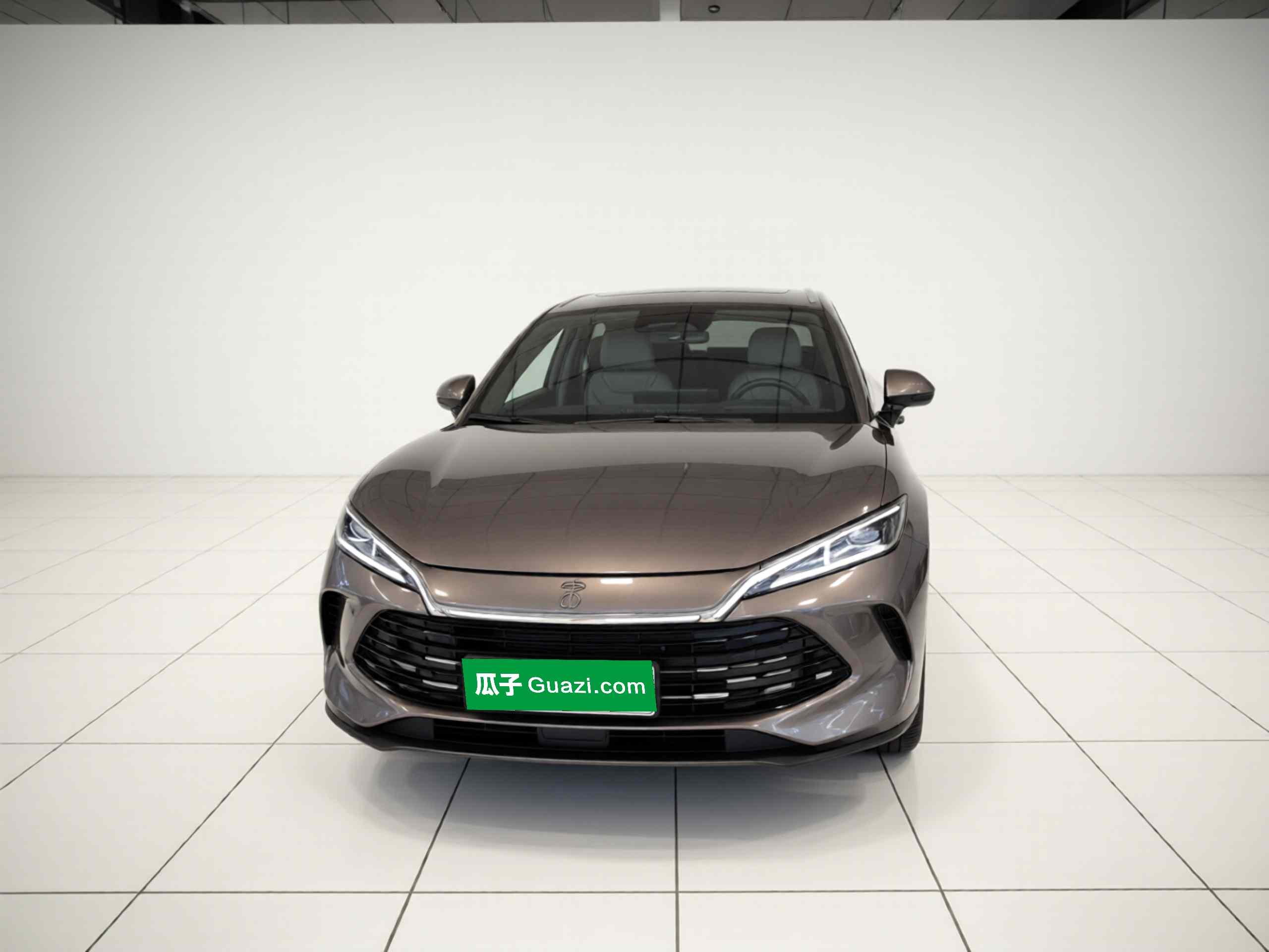 比亚迪 宋L DM-i 2025款 智驾版 160km 卓越型(1)