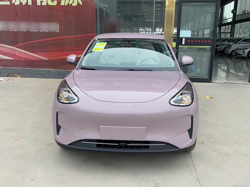 吉利汽车 星愿 2025款 310km 青春版