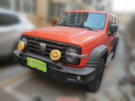 坦克300 2021款 越野版 2.0T 征服者