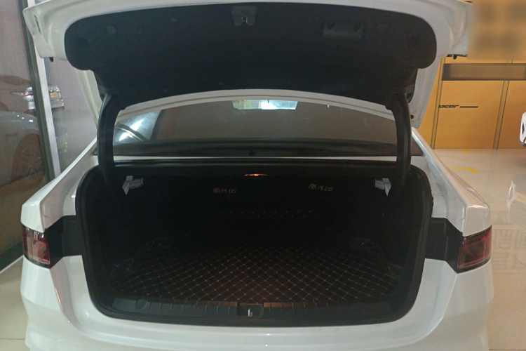 比亚迪 秦PLUS 2021款 EV 400KM 豪华型局部细节23