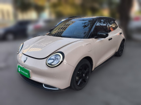 欧拉好猫 2023款 401km标准续航 豪华型 三元锂