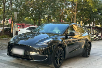 特斯拉 Model Y 2023款 长续航全轮驱动版