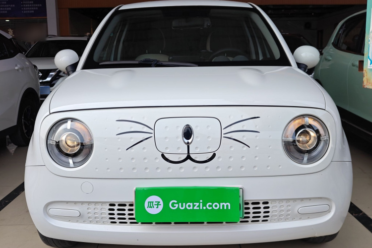 欧拉黑猫 2021款 301km 基础型车身外观2