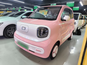 奔腾小马 2025款 222km 闪电马