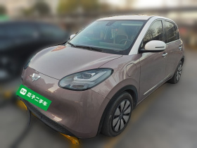 五菱汽车 五菱缤果 2023款 333km 灵犀互联+款