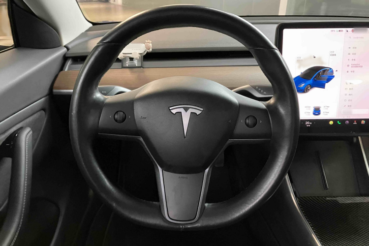 特斯拉 Model 3(进口) 2019款 长续航后驱版局部细节13