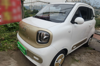 奔腾小马 2024款 170km 元气马