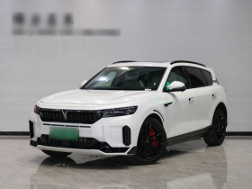 岚图汽车 岚图FREE 2025款 318 318km 后驱环游版