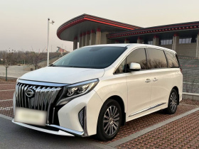 广汽传祺 传祺M8 2021款 领秀系列 390T 尊贵版