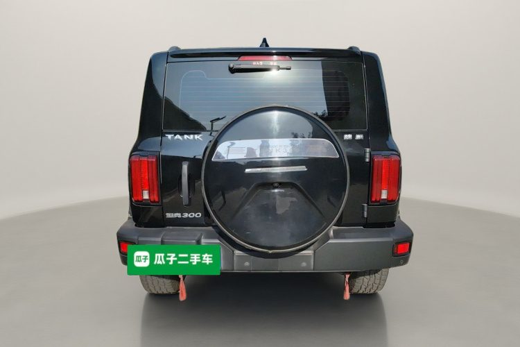 坦克300 2021款 越野版 2.0T 挑战者车身外观6