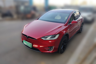 特斯拉 Model X 2020款 长续航升级版