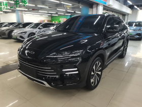 比亚迪 宋PLUS新能源 2023款 冠军版 DM-i 110KM 旗舰PLUS