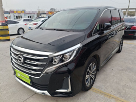 广汽传祺 传祺M8 2020款 领航款 390T 尊贵版